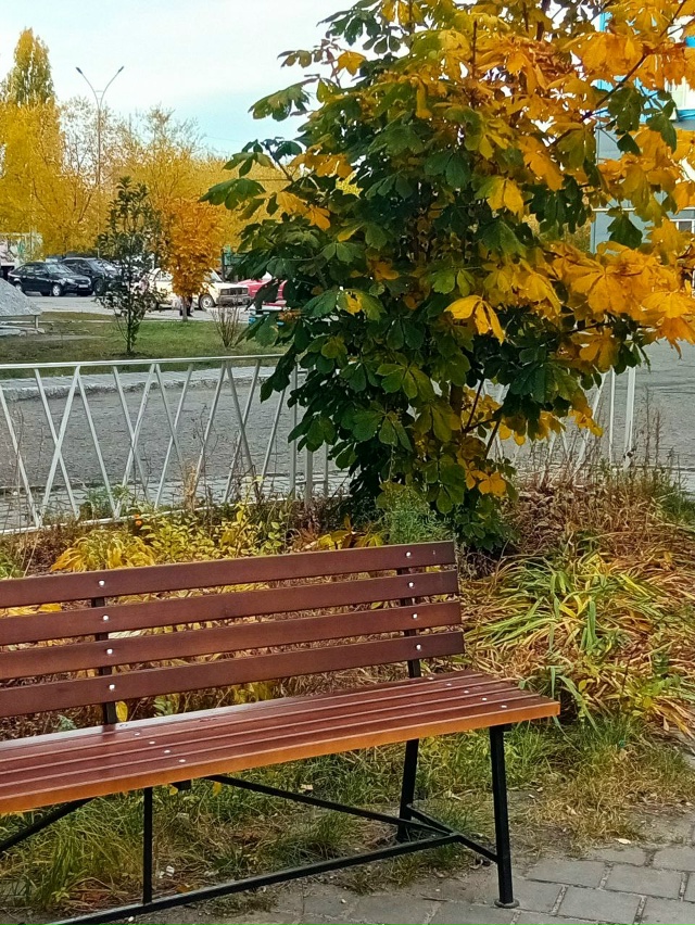 Осенний Спутник