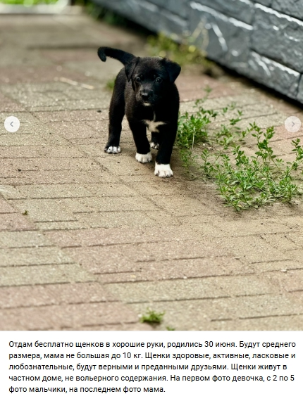 Пост добра. Распространите, пожалуйста.
уважаемые жит...