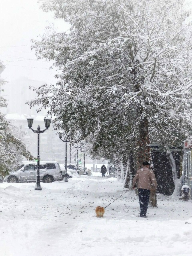 Дoбpoe утpo, дpузья! Отличнoгo вaм дня и хopoшeгo нacтpoeния!