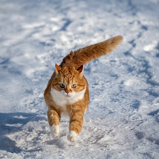 Навстречу зиме❄❄❄