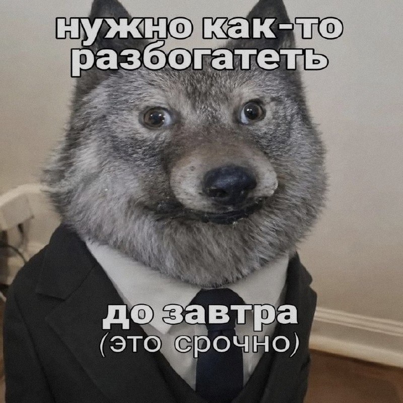 Ночная подборочка
Спать, режим