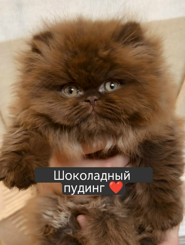 Какой милаш