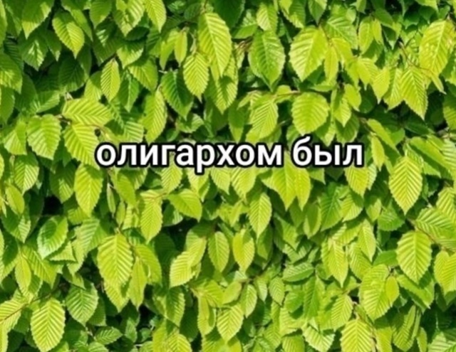 Жизненный опыт