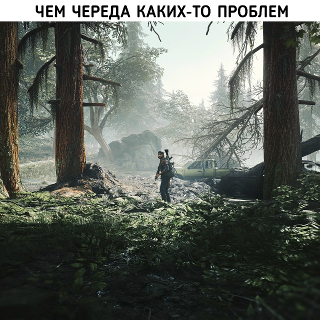 Это мирная жизнь