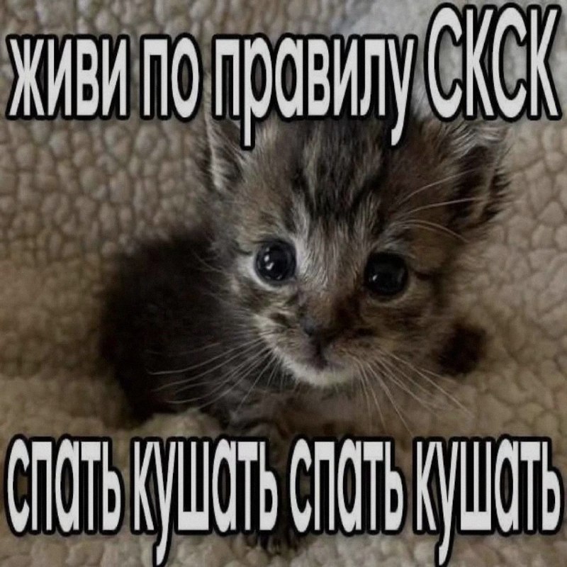 Ночная подборочка
Спать, режим