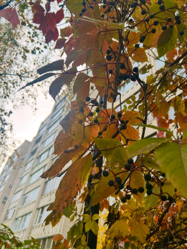 И еще немного поздней осени