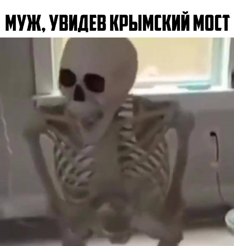 В багаже туристки на Крымском мосту нашли череп её мужа.
Женщина везла останки любимого, чтобы пок