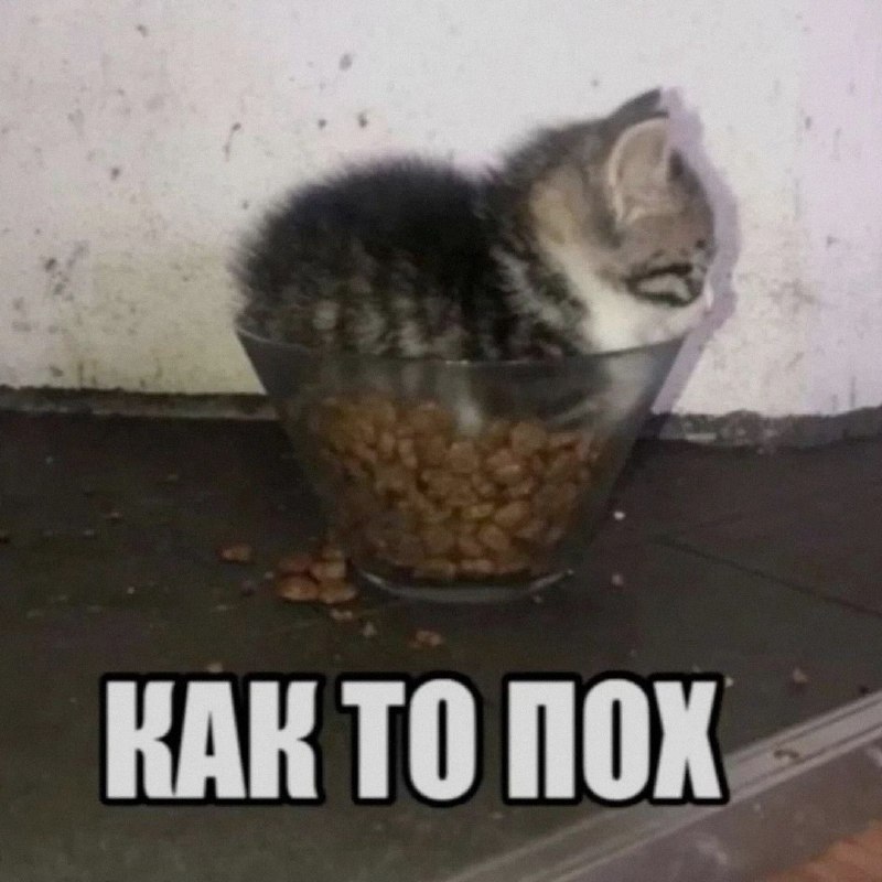 Ночная подборочка
Выходные, не спим