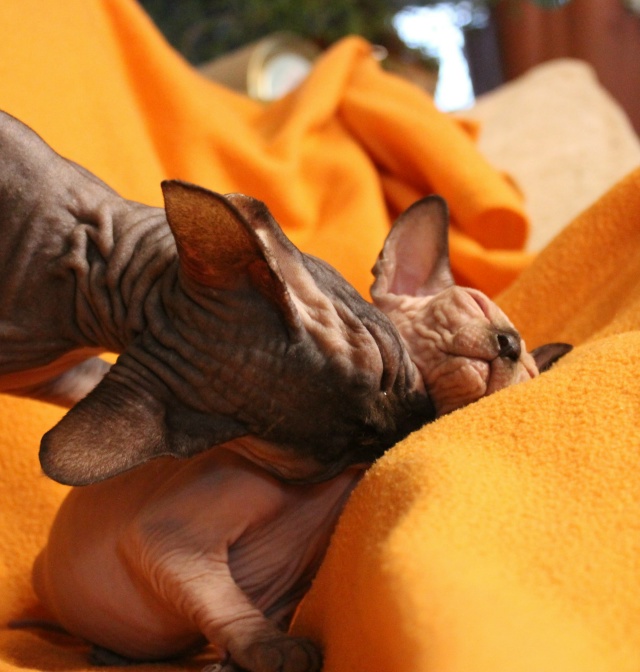 Голубоглазый ловелас подрастает и не оставляет равнод...