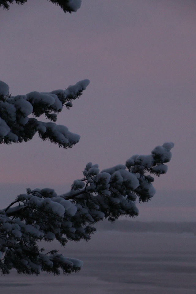 Когда фильтры не нужны🩷
[id1430345|Елена Серикова]