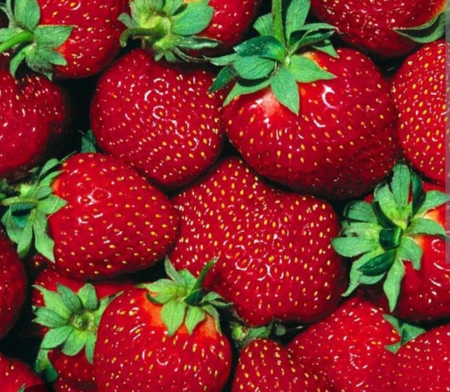 Продаётся клубника 🍓🍓🍓
Обращаться по тел: 89969243818