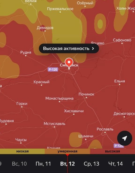 ‼В Смоленске начался сезон опасной пыльцы, от которой ...