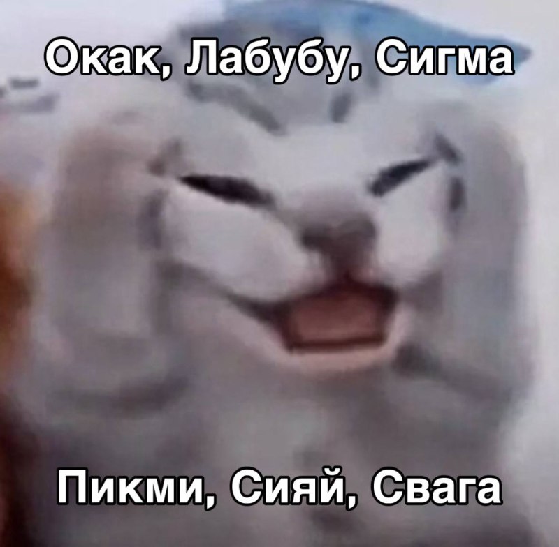 Слова «Окак», «лабубу», «сигма» и «тревожность» вошли в топ-40 проекта «Слово года». В категории «Вс