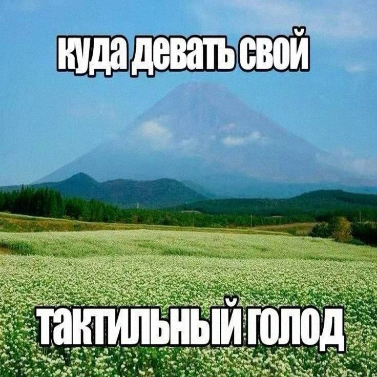 Утренняя подборочка