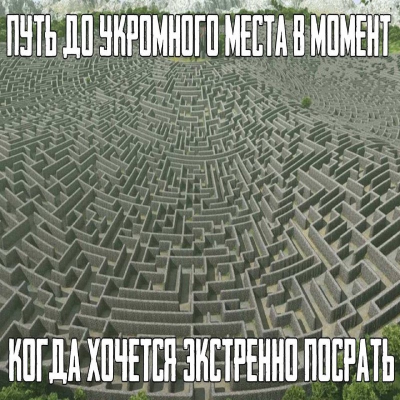 Утренняя подборочка