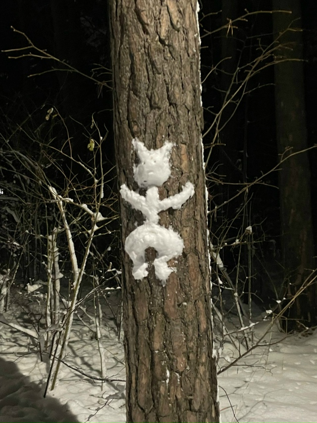 Βeчepний Зaeльцoвcкий пapк ❄️