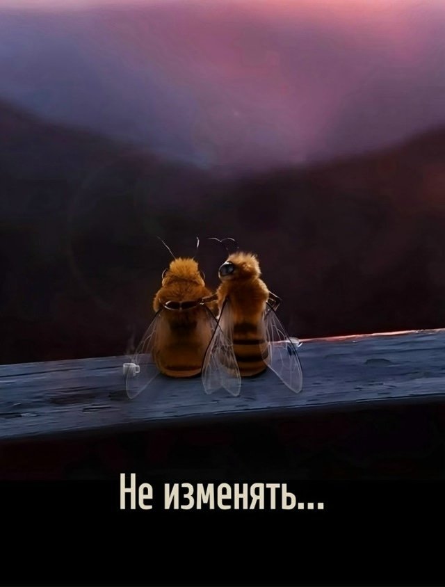 Это так и есть...