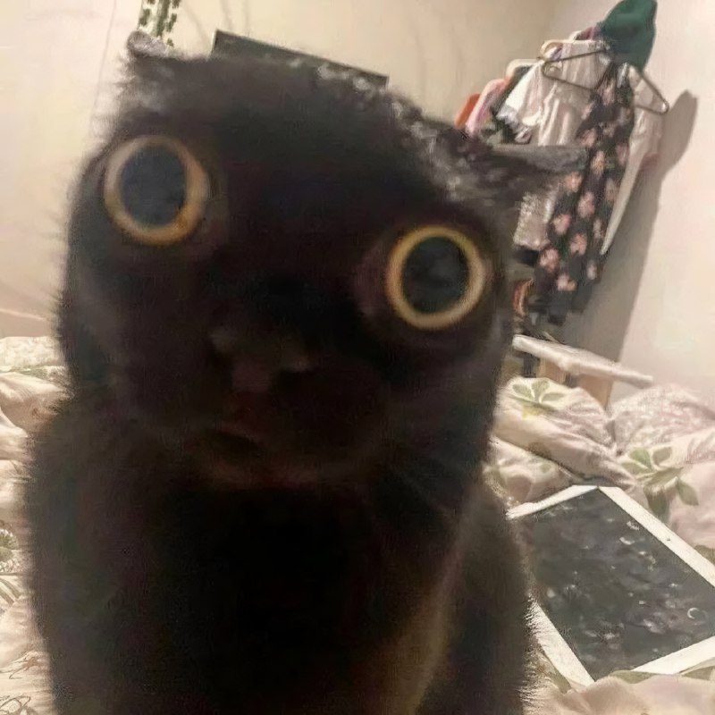 Ловите набор аватарок, чтобы показать своё настроение перед РАБотой
Ставим всем офисом заводом