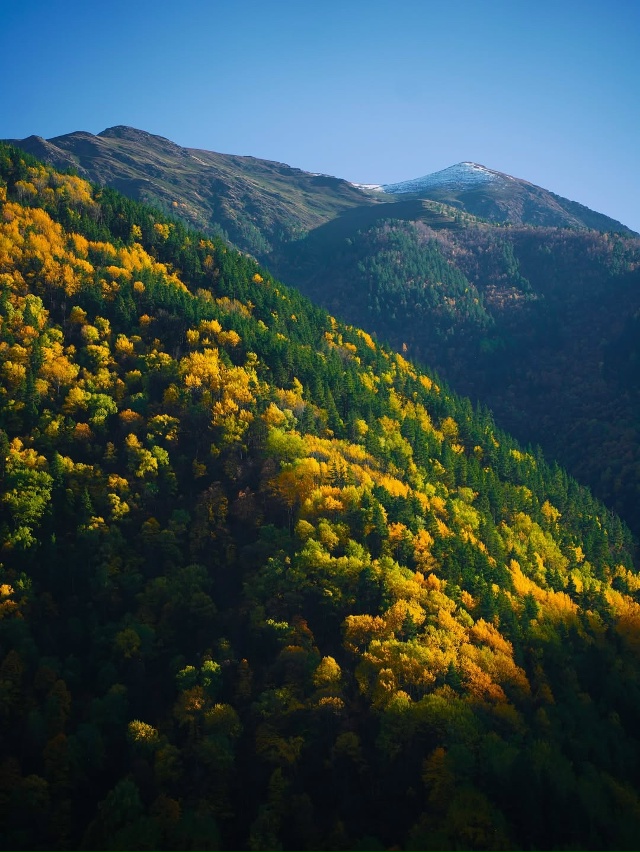Осень в горах Дагестана 🇷🇺