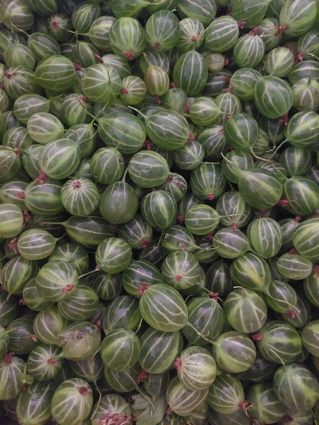 Продам крыжовник, кисло-сладкий, 4кг, ц.200р/кг
т. 89058185599.
