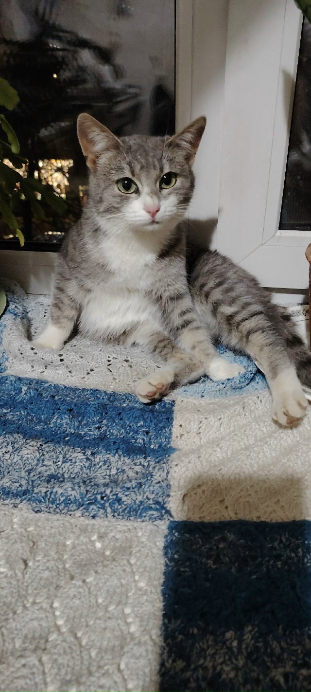 Анонимно можно.
Всем здравствуйте.
Чья потеряшка?
Возл?...