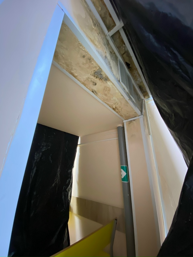 ❗Проблема с плесенью в детской поликлинике №7 г. Смоле...