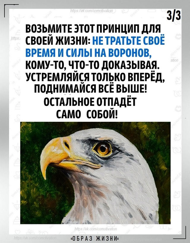 Не тратьте время и силы на то, что не стоит вашего внима...