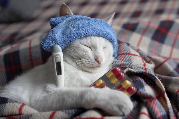 💉Еще 800 тысяч доз вакцины от гриппа привезли в Самарск...