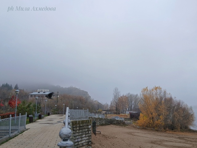 Осенние туманы на набережной. 🍁🌫
Самарская обл.