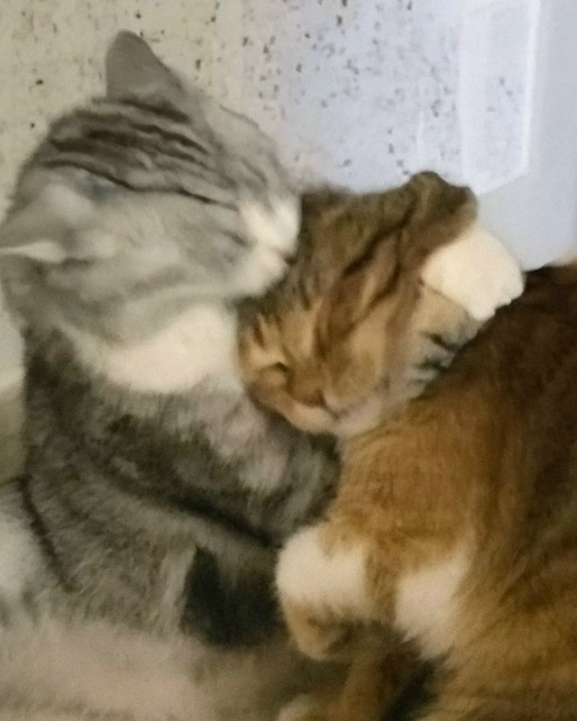 Любовь такая любовь😅