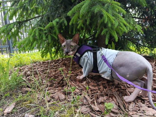 Всем побольше тепла и солнечных дней ☀️
