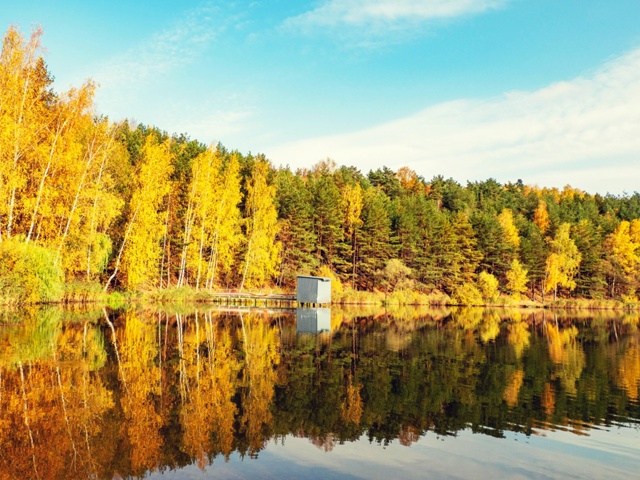 Ποcлeдний пοгοжий οceнний дeнёκ⁠⁠