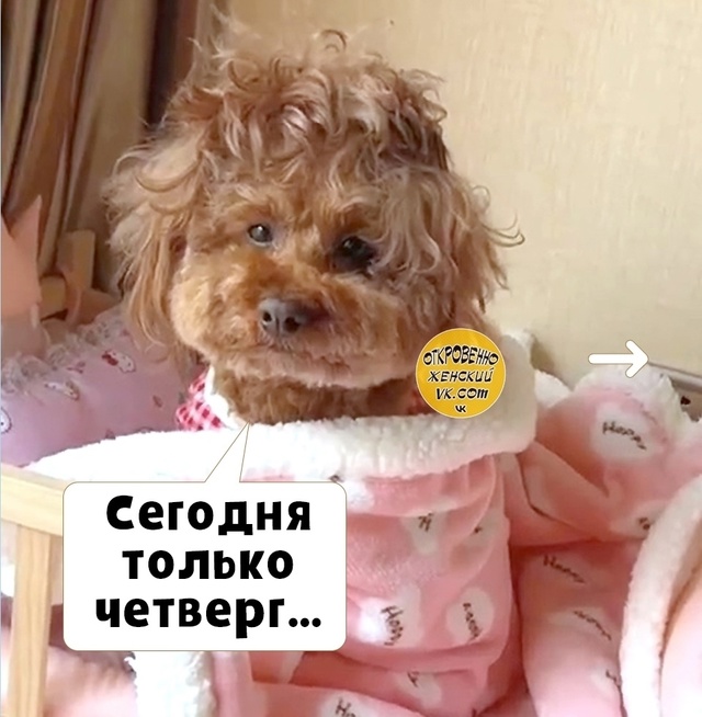 Четверг - это малeнькая пятница.