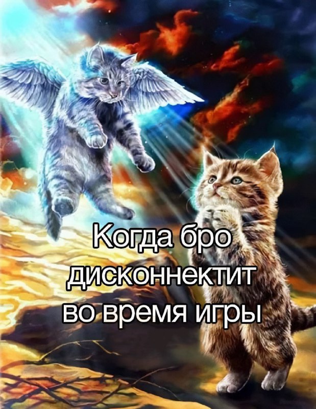 Утренняя подборочка
