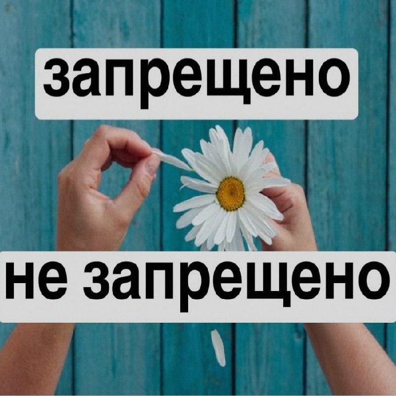 Ночная подборочка
Выходные, не спим