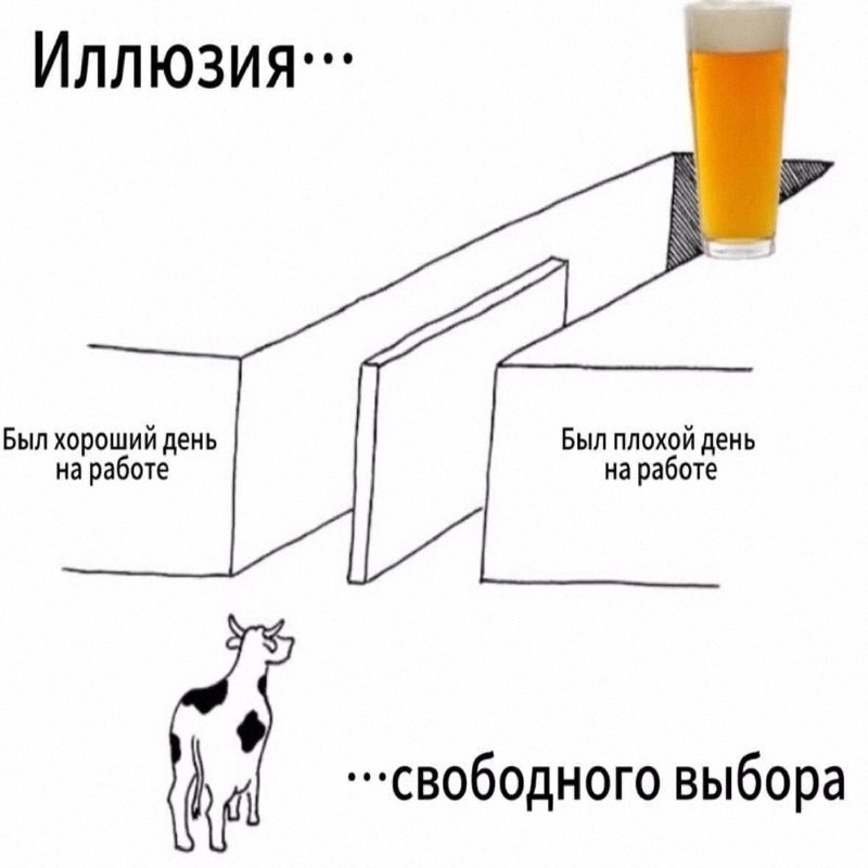 Утренняя подборочка