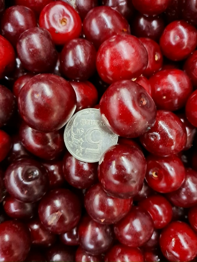 🍒 Сезонные ягоды — свежие, спелые и сладкие!
Вишня — ?...