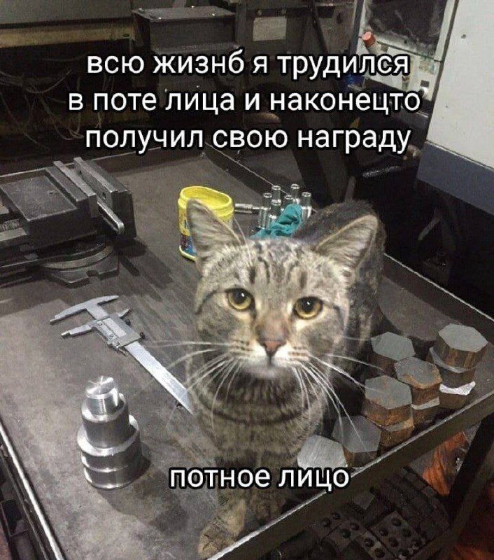 Утренняя подборочка