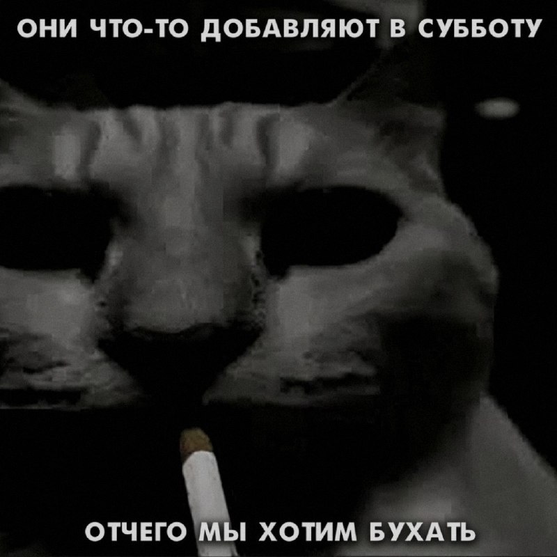 Ночная подборочка
Выходные, не спим