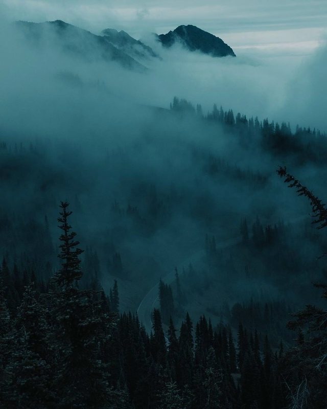 Попробуй!
— Попробуй не пить кофе и чай в течение дву?...