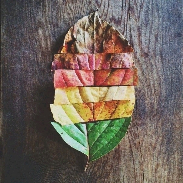 6 оттенков осени 🍂