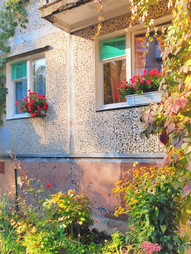 Осенняя Луга🍂