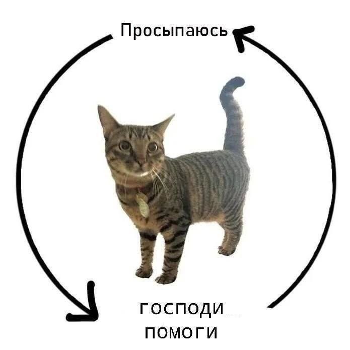 Утренняя подборочка