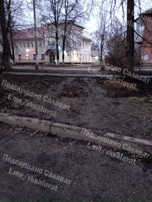 Про удобный город. Сделали наконец-то дорожки по аллея?...