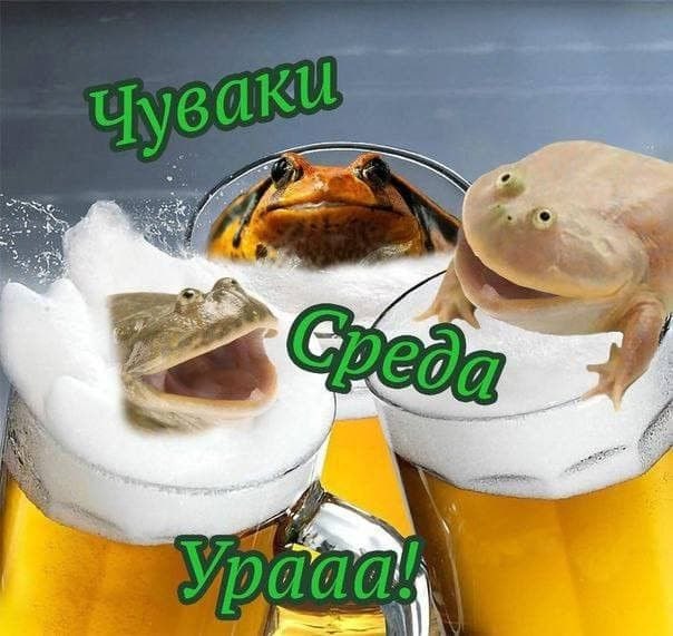 Как прошла ваша первая рабочая среда в этом году, мои чуваки?