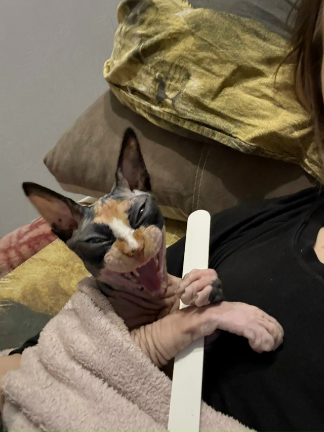 Пилила коготочки и всралась