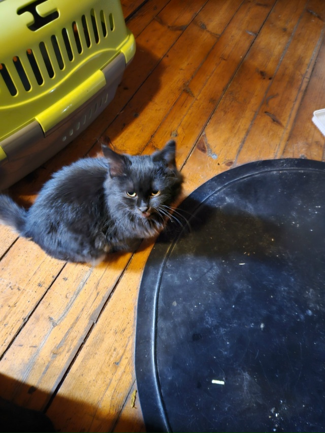 Вчера 9.11 на у. Клементьевская в районе д. 70 выскочил на ?...