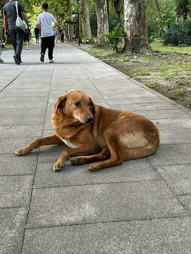 В Самарской области планируют построить два крупных п?...