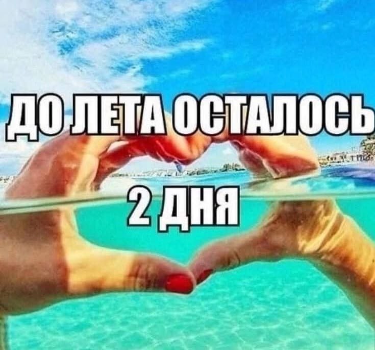 ⚡️Последняя мемббота этого лета, мои чюваки