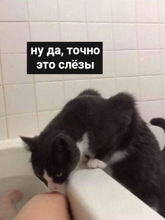 Самый надежный и не дорогой психолог😅